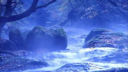 嫁给妈宝男会幸福吗?——专业有问必答平台,随时解答您的疑问